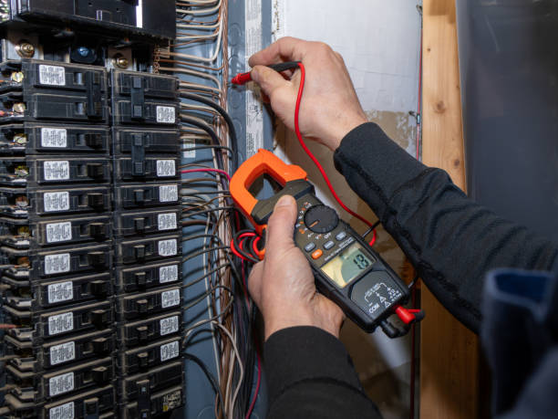 Best Ceiling Fan Installation Electrician  in Mcmurray, PA